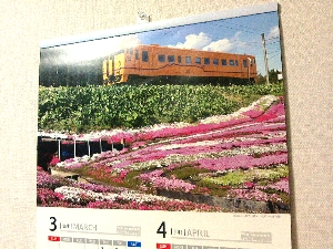 山吹車両と芝桜のカレンダー写真