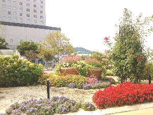 函館駅前の花壇の写真