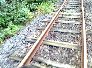 道南トロッコ鉄道から見たレールの写真