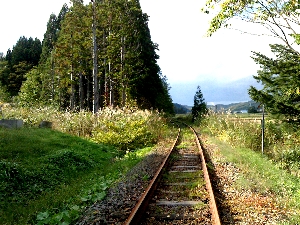 道南トロッコ鉄道から見た景色の写真