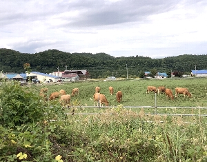 函館駅の中の写真