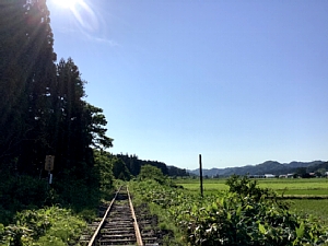 道南トロッコ鉄道の写真