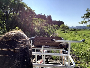 道南トロッコ鉄道の写真