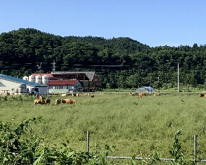 道南トロッコ鉄道の写真