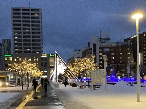 函館駅前のイルミネーションの写真