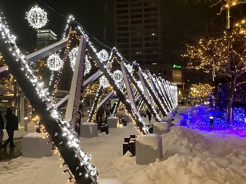 ながまれ海峡号クリスマストレイン　車両の写真