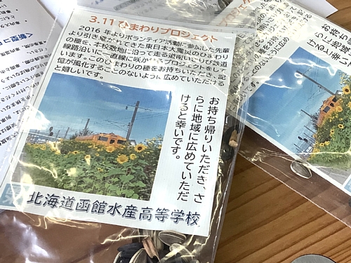 函館水産高校の「3.11ひまわりプロジェクト」のヒマワリの種の写真