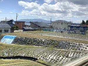 いさ鉄から見える札苅村上芝桜園の写真