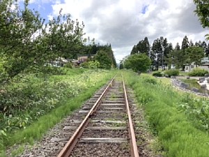 道南トロッコ鉄道の沿線の写真