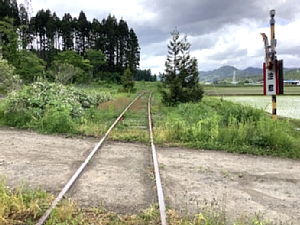 道南トロッコ鉄道の写真