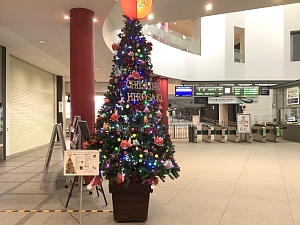 函館駅構内のクリスマスツリーの写真