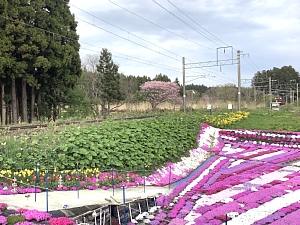 札苅村上芝桜園の裏の線路の写真