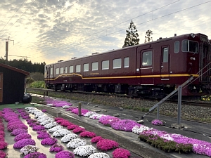 札苅村上芝桜園の裏をいさりび鉄道が走っている写真