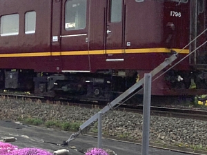 4月29日の芝桜と一緒に映る濃赤車両の写真