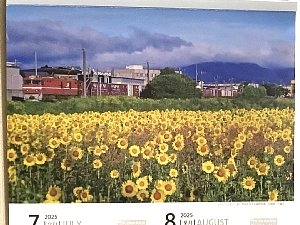 道南いさりび鉄道カレンダー7月8月の写真