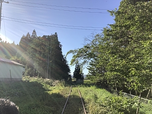 道南トロッコ鉄道の景色の写真