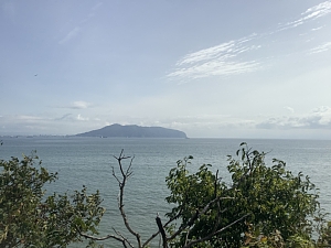 ながまれ号の車窓の写真