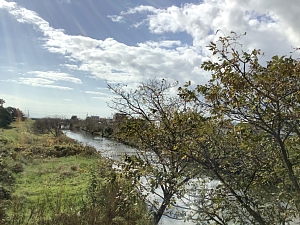 いさ鉄の車窓の写真