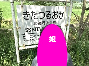 道南トロッコ鉄道の写真